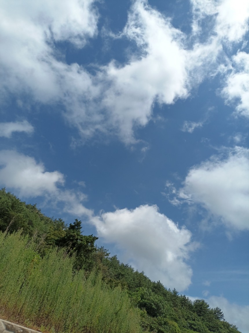4c19bf72523c0c360bd4000b9c68a373_1660972466_2558.jpg